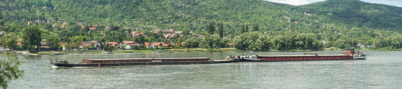 36267792723_6aa6760be8_c