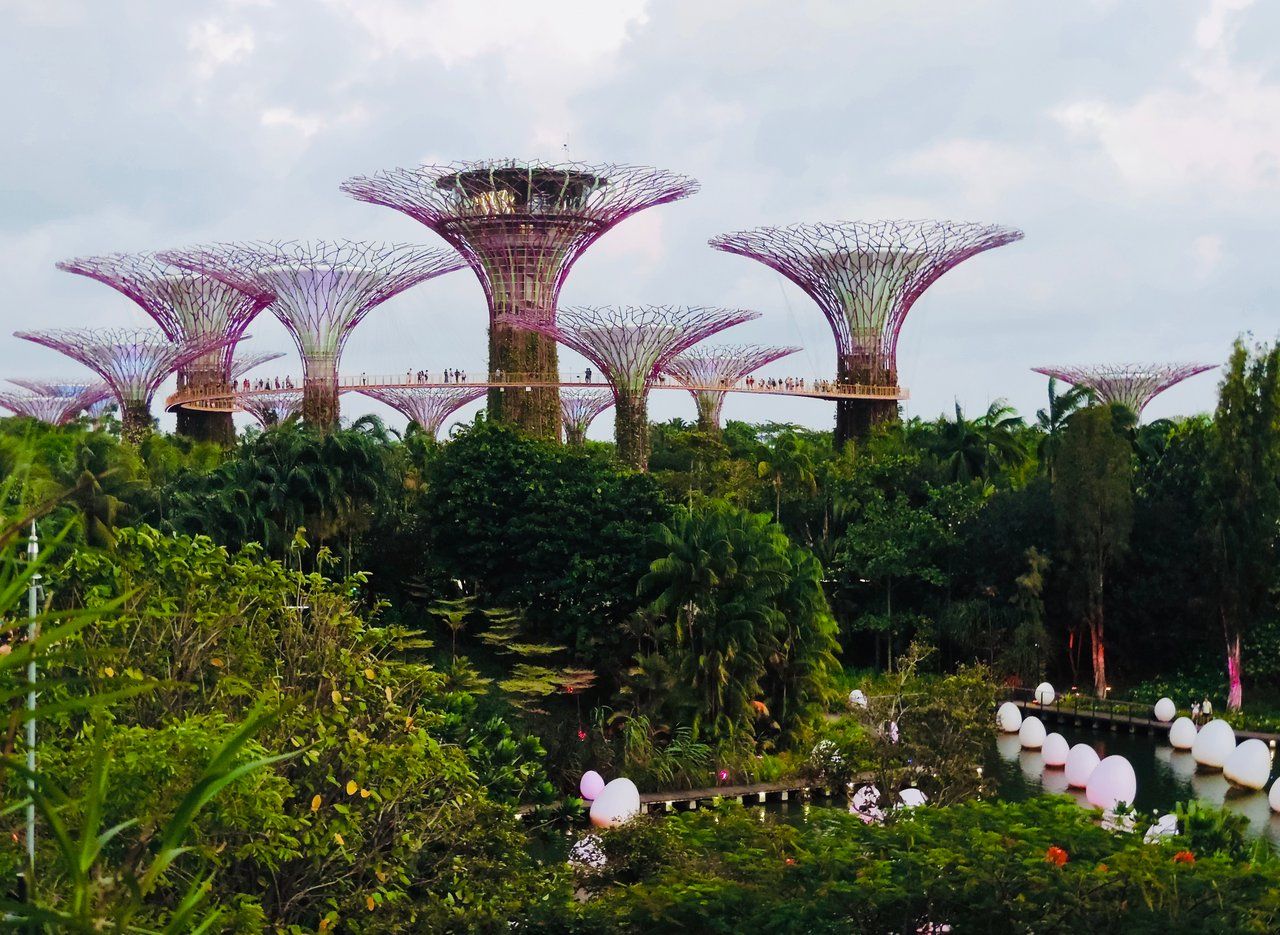 Gardens by the Bay Singapore